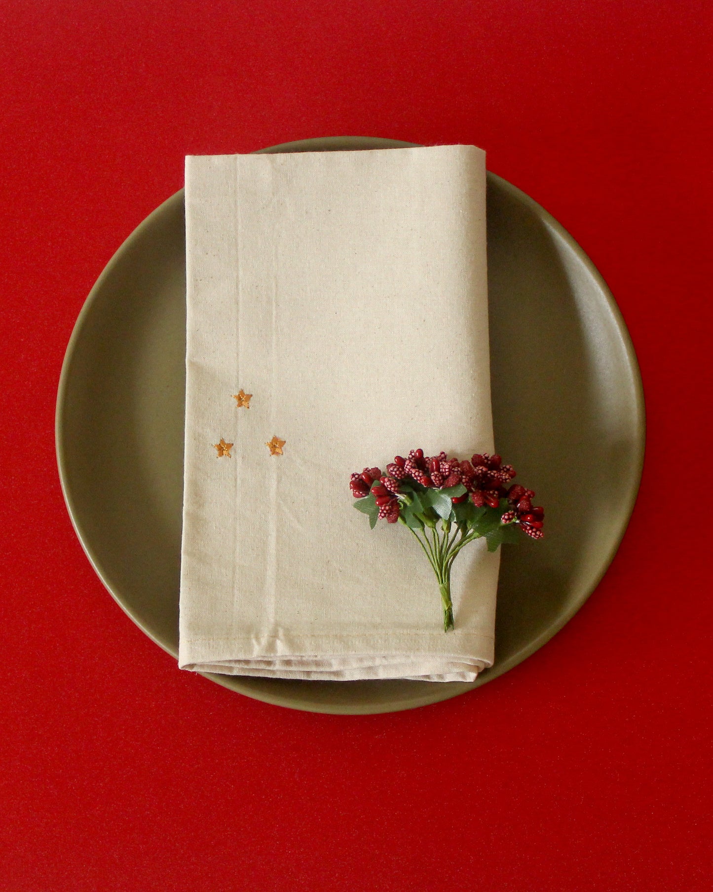 Embroidered Star Napkin Set